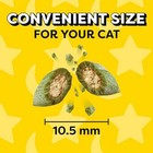 Temptations Classic Cat Treats - Crunchy And Soft  16 Oz  Tub  select Flavor 