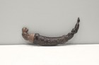 Indonesian Water Buffalo Horn Etched Betel Nut Lime Container 
