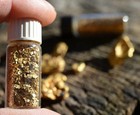 Gold Fever Pay Dirt Guaranteed To Find Gold Authentic Free Shipping 3 Lbs Fast