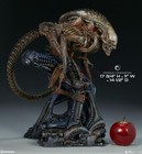 Sideshow Collectibles 400317 Alien Alien Warrior Model Statue Standard Edition