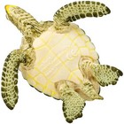 Green Sea Turtle Figurine  Detailed 3 58  Plastic Model Figure  Ages 3 