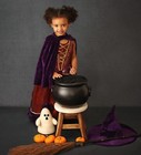 Pottery Barn Kids Vintage Witch Costume 3t Halloween Discontinued