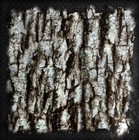 Real Tree Bark Look Camoflage Film Hydrographic Water Transfer Hydro Dipping Dip