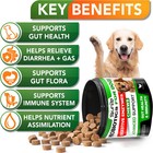 Probiotics For Dogs Digestive Enzymes For Good Health Itchy Skin 120 Chews Fit