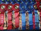Equestrian Trails Inc   e t i   Horse Show Ribbons Awards Equestrian Events