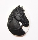 8 Different Colors Of 40x30mm Horse Cameos  4 Vertical And 4 Horizontal Cabochon