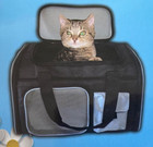 Soft Sided Dog cat pet Carrier W removable Mat
