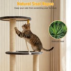 40  Compact Cat Tree With Semi-enclosed Condo Sisal Scratching Posts Cat Tower
