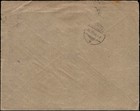 Austria Hungary Mixed Franking Zavidovi   To Switzerland 20h Pair