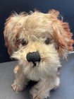Vintage Steiff Mohair Molly Dog 9     Swivel Head With Bell