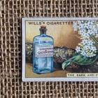 What Quinine Is Do You Know Series 2  32 1924 Wills Cigarette Tobacco Card