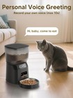 Automatic Cat Feeder And Water Fountain  4l 16 Cups Timed Cat Dry Food Black