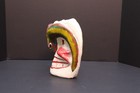 Vintage Mexican Guerrero Wood Carved Skull Mask Folk Art Day Of The Dead