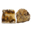 Plume Agate Slabs Oregon 94 1 Grams 