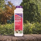 Bonide Systemic Insect Control Ready To Use Granules  1 Pound