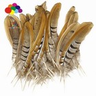 New 130-180cm 52-72inch Natural Rare Pheasant Tail Feathers For Carnival Diy