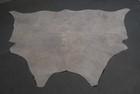 100  New Cowhide Rugs Area Cow Skin Leather  57 x 66   Cow Hide Sa-2135