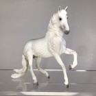 Breyer Cm Sm Alborozo
