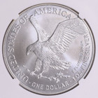 2025 1 Oz American Silver Eagle Coin