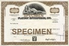     personalized Playboy Enterprises  Inc  Stock Certificate Novelty - Cardstock    
