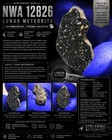 Nwa 12826 Lunar Meteorite 1 945g End Cut   Black Matrix   Rare Moon Rock   Coa