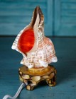 Vintage Seashell Shell Striped Conch Table Night Light Lamp Wood Pedestal Base
