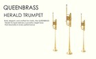 Flag Trumpet Bb Pitch Shinning Brass With Case Super Hard Case Herald Trumpet