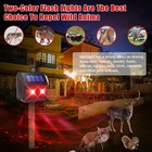 4 Nighttime Solar Repellents  Keep Coyotes  Deer From Yards   Farms