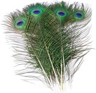 10 Pcs Peacock Feathers In Bulk 16-18inch40-45 Cm Bulk For Diy Craft Vase Wed   