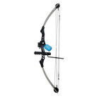 Sas Siege 55 Lb 29  Compound Bowfishing Bow Package - Silver black Or Black