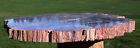 Sis  My Best 10  Arizona Fungus Invaded Petrified Wood - Choice Collector Piece 