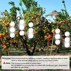  30 Pack Bird Scare Discs Set-highly Reflective Double-sided Bird Reflectors 