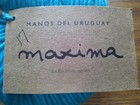 Manos Del Uruguay Maxima 100  Merino Wool Turquoise   Helium