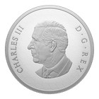 2025 Canada Lunar Year Of The Snake 1 Oz Silver Proof Coin