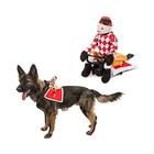 Midlee Jockey Saddle Dog Costume M Xl Xxl Xxxl