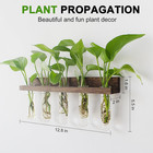 Plant Propagation Station Tubes  3 Tiered 15 Wall Hanging Glass Test Tubes Vase