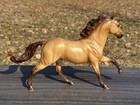 Breyer Traditional Model Horse Saddle Club Starlight  1312 Flash Mold Buckskin
