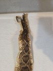 Eastern Diamondback Rattlesnake Skin