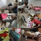 Waterproof Puppy Pet Dog Vest Jacket Winter Warm Dog Clothes Coat For Small Dogs