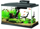 Aqueon Aquarium Fish Tank Starter Kit With Led Lighting 10 Gallon Fish Tank