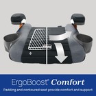 Chicco Gofit Cleartex Backless Booster Seat 40-110 Lbs  Shadow Black