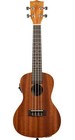 Kala Tenor Ukulele Ka-tgt-ce Limited Edition Gold Top Acoustic Electric