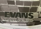 Barry Kerch Shinedown Signed 13  Drumhead 2025 Dance Kid Dance Tour Disco Ball