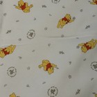 Vtg Y2k Winnie The Pooh Baby Blanket Throw New Dead Stock Cotton 