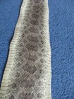 1 Rattlesnake Skin Piece Snake Skin Scraps Pen Blanks Small Wrap Education W8