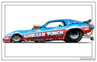 Special 2 For 1 Hawaiian Punch 1983 Dodge Omni Funny Car 28x18  Posters 154-155