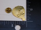 Aa American Airlines Hot Air Balloon Advertisement Pin