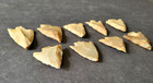 Lot Of 9 Stone Flint Arrowheads Spearhead Stone Point  1-1 2  X 1 