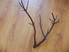 Red Manzanita Branch Bird Perch  Reptile Home yard Decor