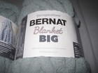 Lot Of 2 Yarnspirations Bernat Blanket Big Yarn Misty Green 32 Yd Ea  New